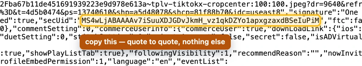 Close-up of the value MS4wLjABAAAAv7iSuuXDJGDvJkmH_vz1qkDZYo1apxgzaxdBSeIuPiM highlighted between its quotes in the page source.